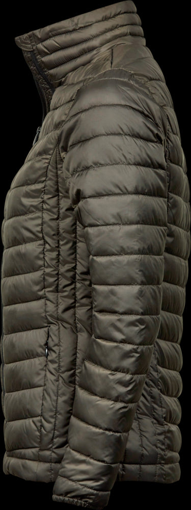 Women's Zepelin Jacket